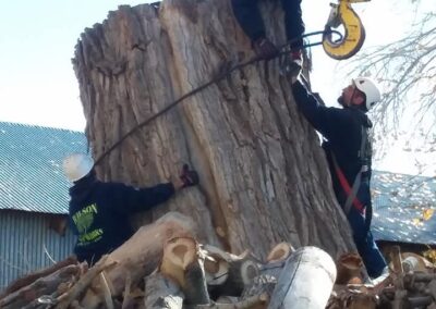 Large Removal – Crane Job