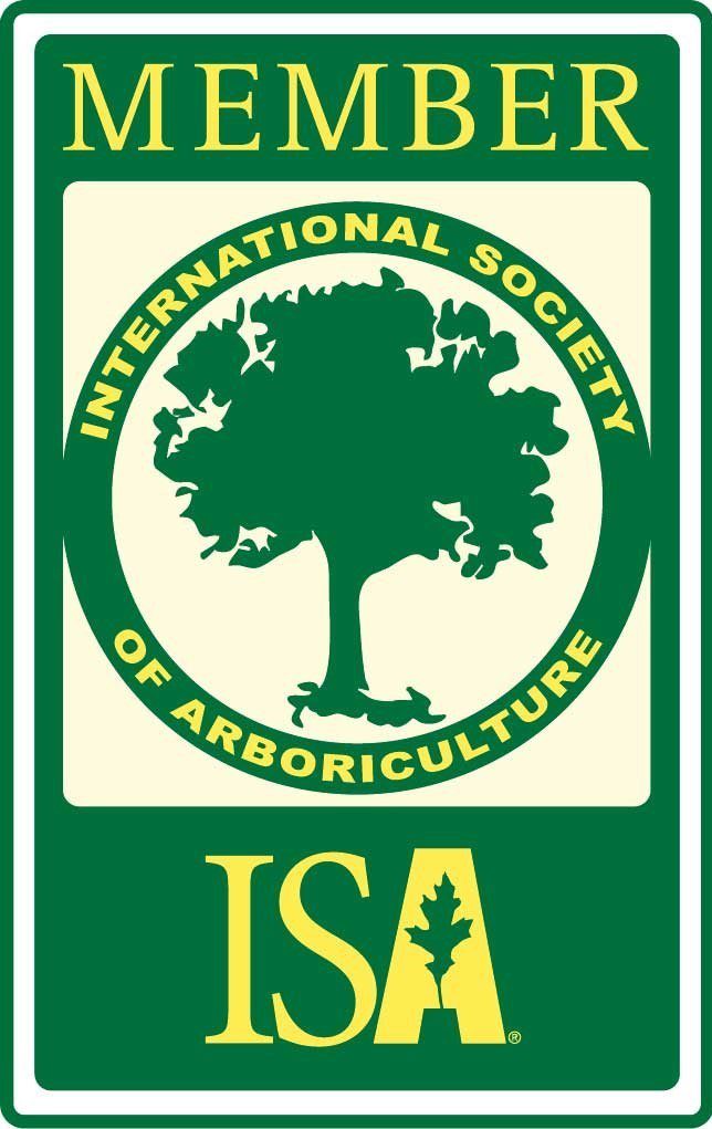 ISA Member Image